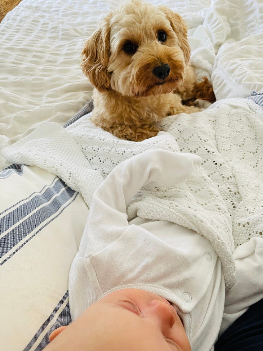 My top 10 essentials for a newborn baby