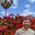 John J D Munn's avatar