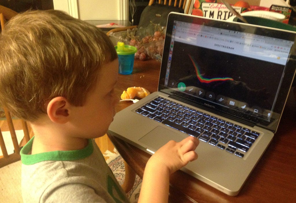 Milo tries Chrome Music Lab Milo tries Chrome Music Lab
