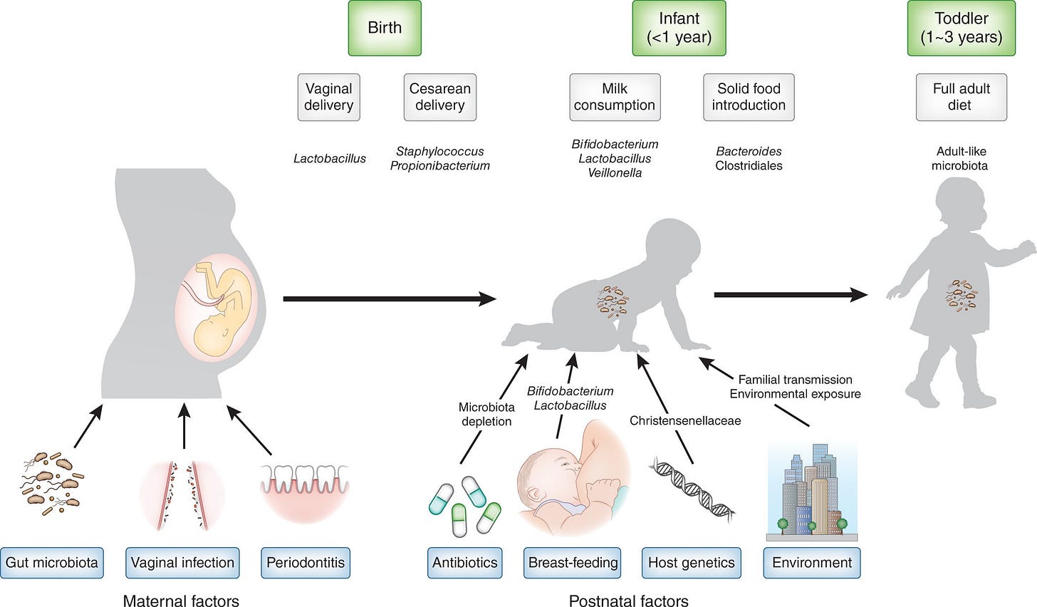 The microbiome in early life: implications for health outcomes | Nature  Medicine