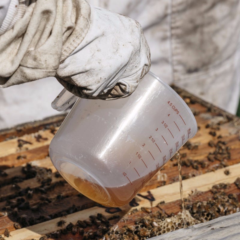 Image of liquid being poured into bee hive. Image of liquid being poured into bee hive.