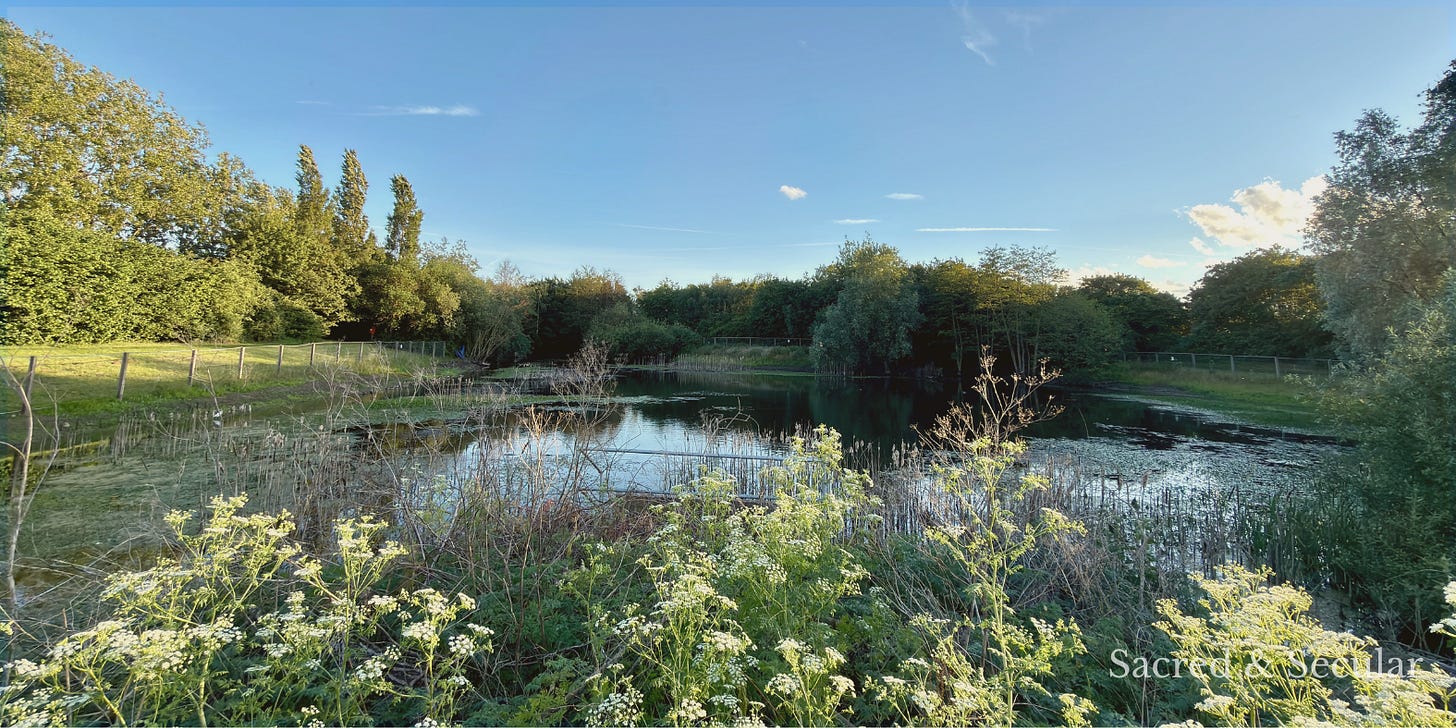 lake with wooded area around the perimiter lake with wooded area around the perimiter
