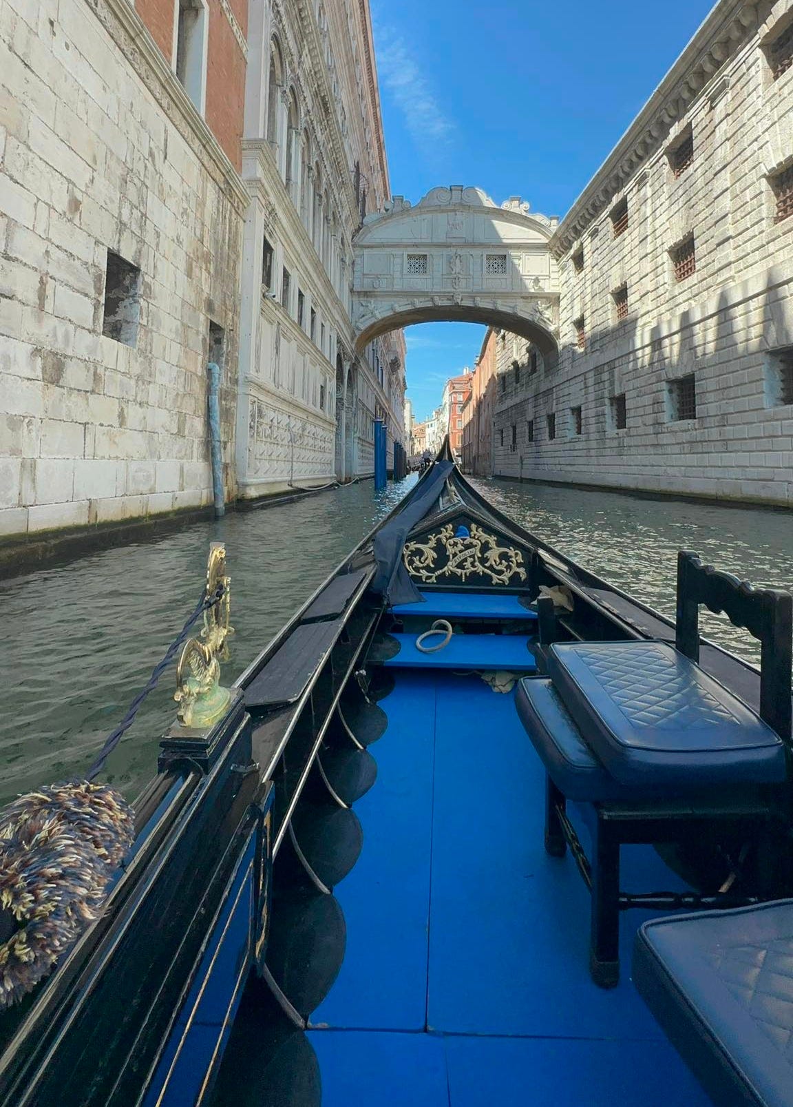 No photo description available.