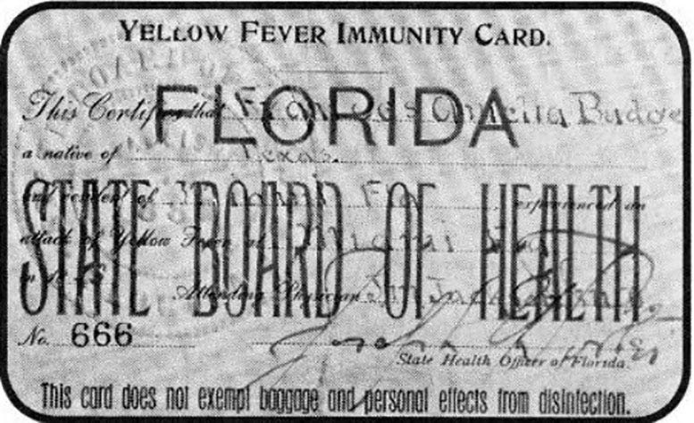  Figure 2: Yellow Fever Immunity Card
