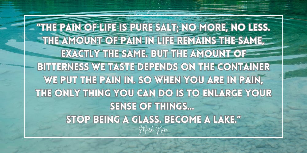 “The pain of life is pure salt; no more, no less. The amount of pain in life remains the same, exactly the same. But the amount of bitterness we taste depends on the container we put the pain in. So when you are in pain, the only thing you can do is to enlarge your sense of things… Stop being a glass. Become a lake.” “The pain of life is pure salt; no more, no less. The amount of pain in life remains the same, exactly the same. But the amount of bitterness we taste depends on the container we put the pain in. So when you are in pain, the only thing you can do is to enlarge your sense of things… Stop being a glass. Become a lake.”
