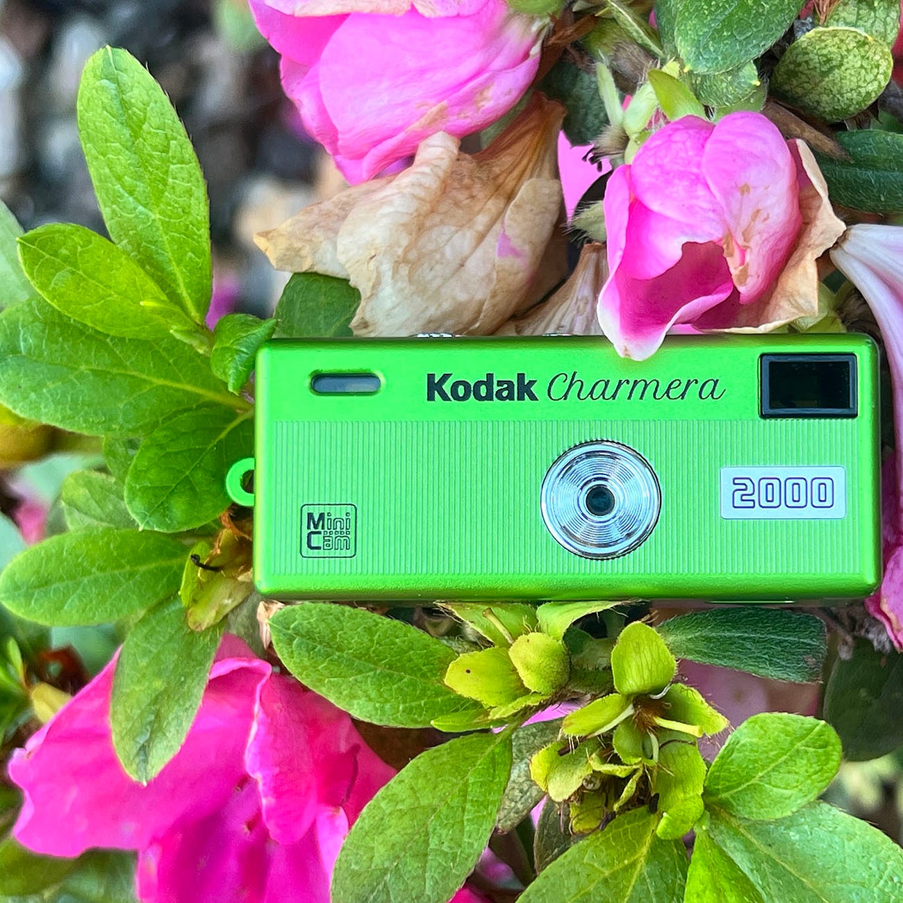 Kodak Charmera: Original vs Millennium Edition