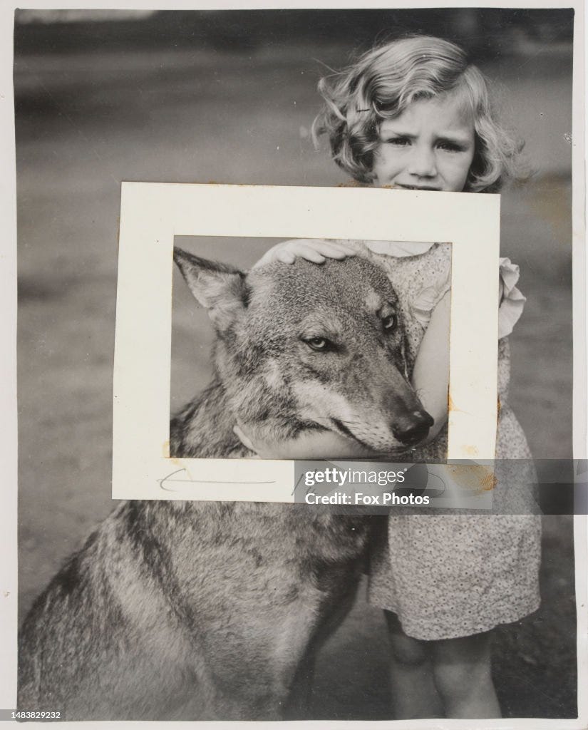 Girl And Wolf