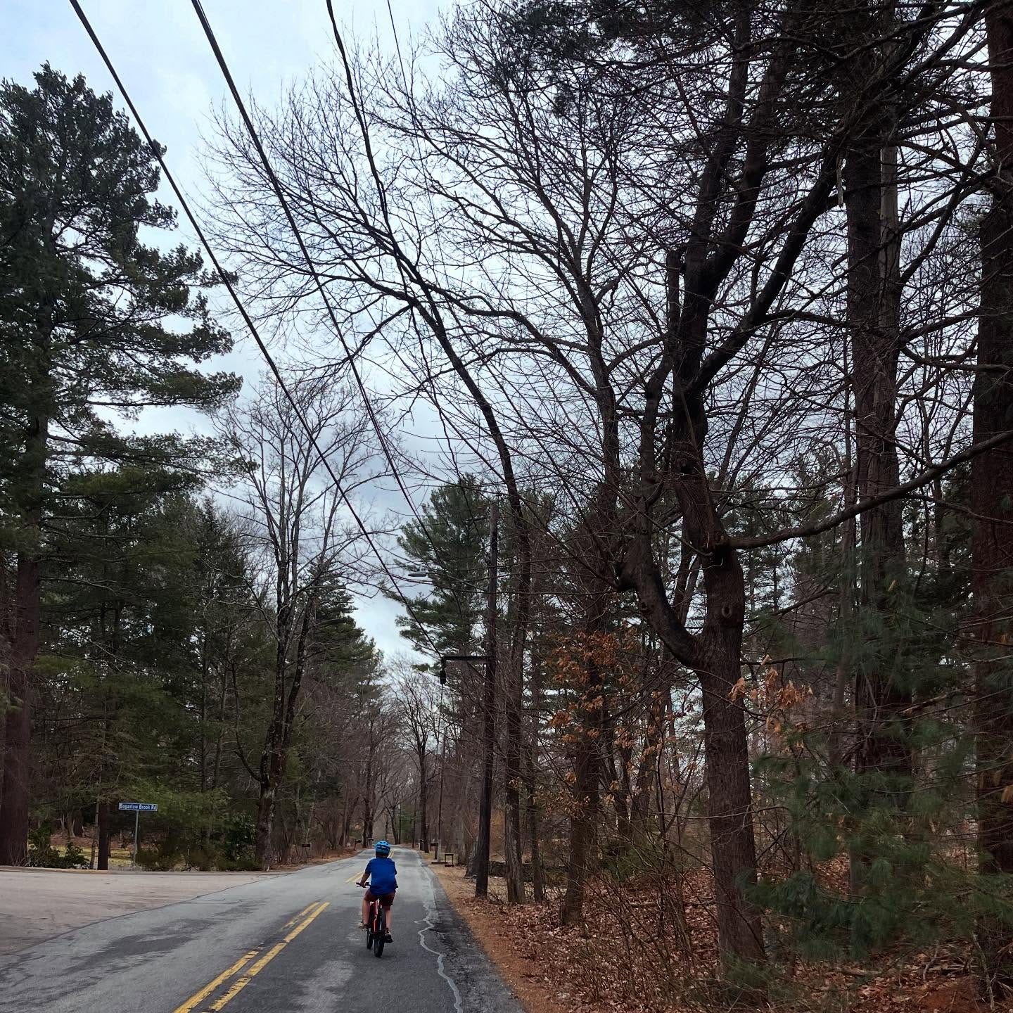 May be an image of 1 person, bicycle, road, park and text