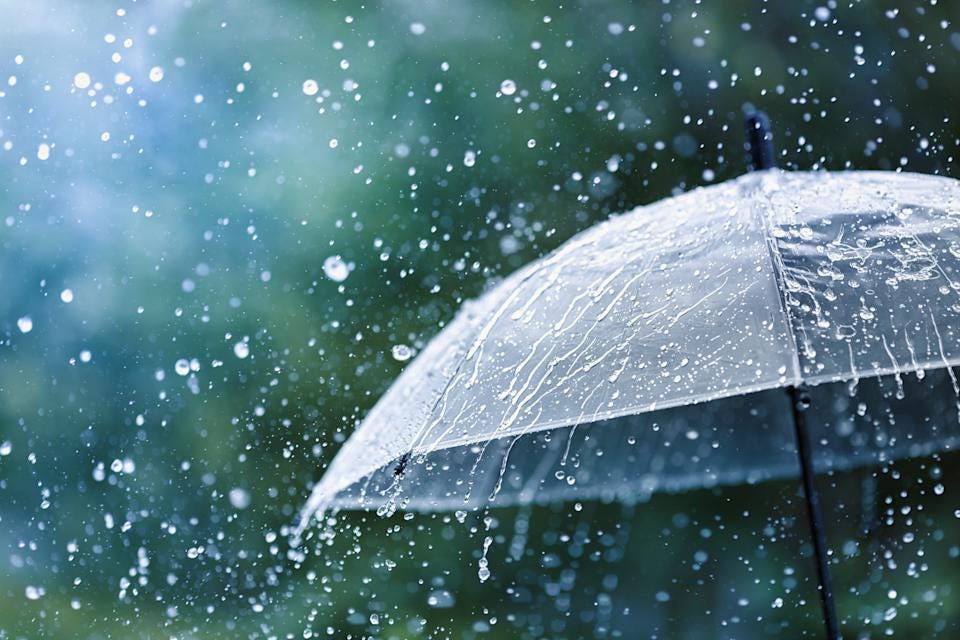 An umbrella to protect you from rains and sun