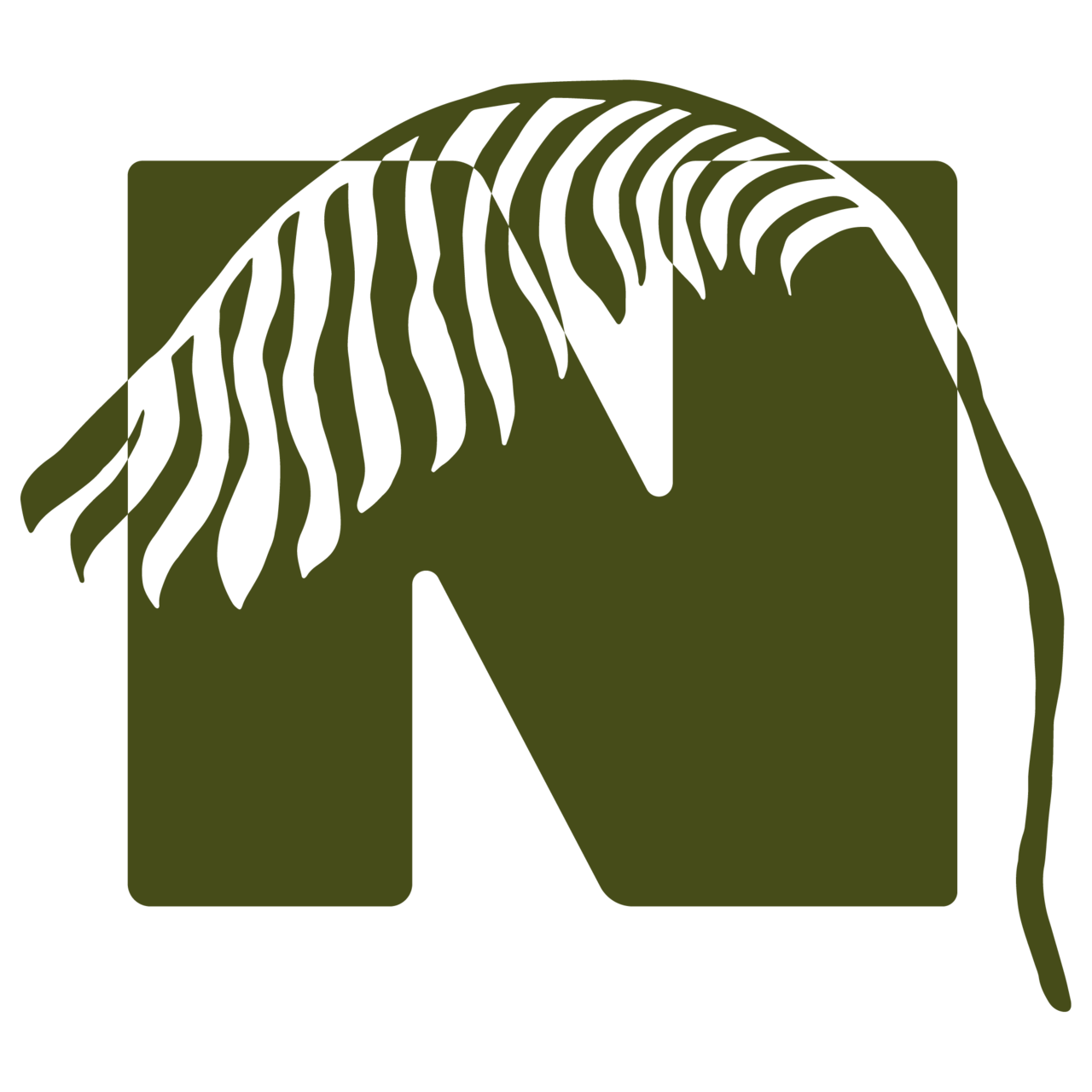 Native Palms Nutrition 