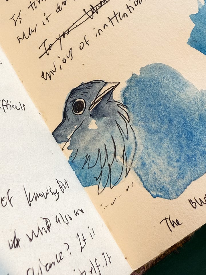 dry point Bluebird and Watercolor Painting