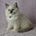 Tashi's avatar
