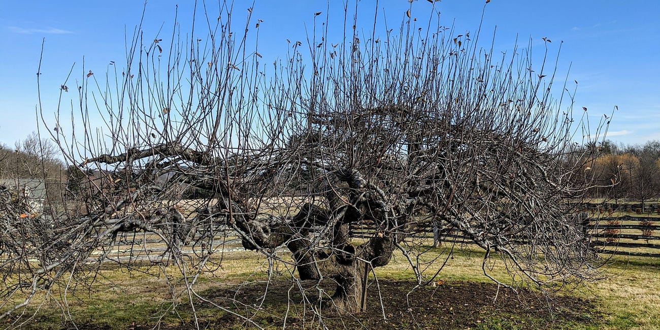 Landscaping year round with business stacking