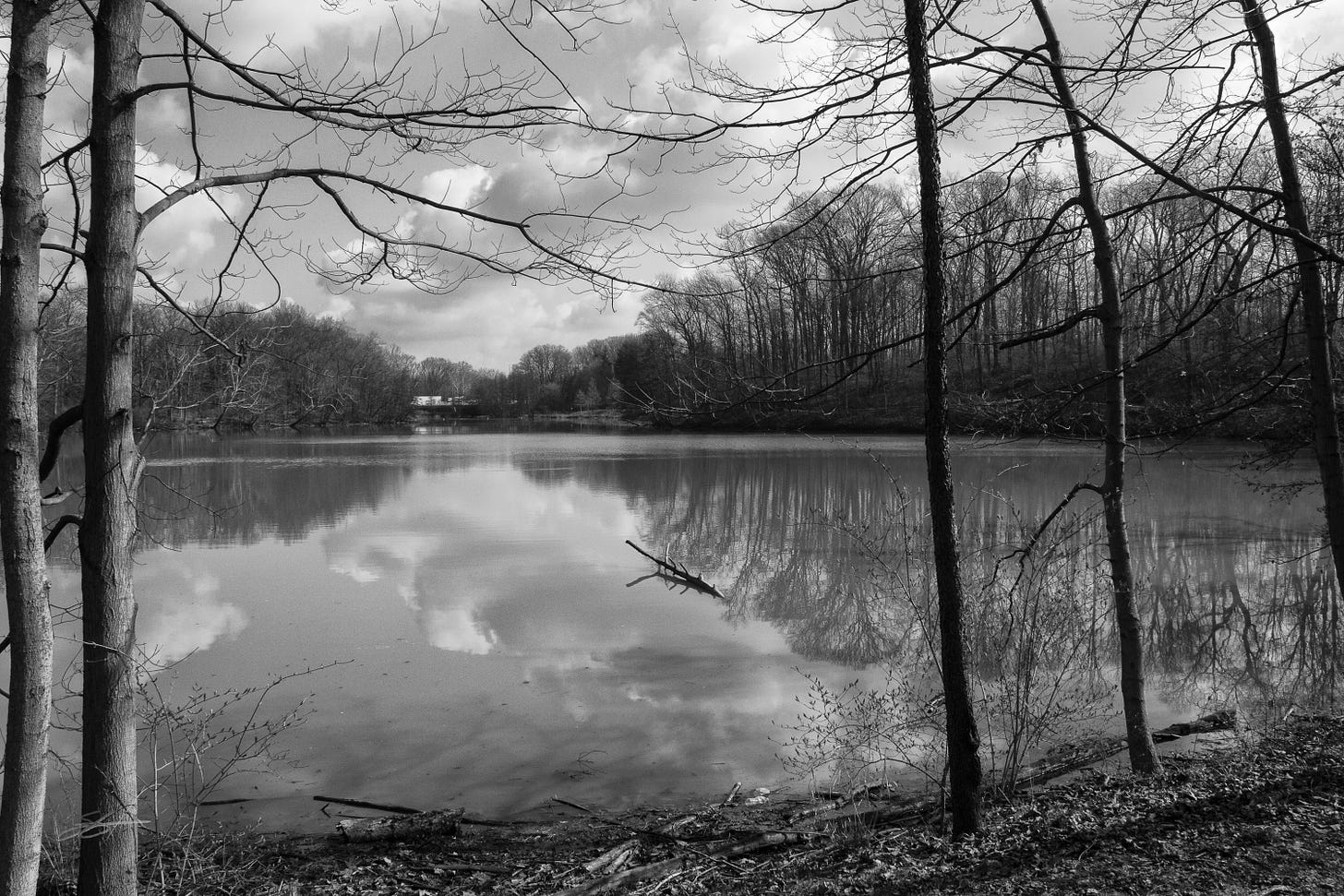 IMG_9975-Edit-2