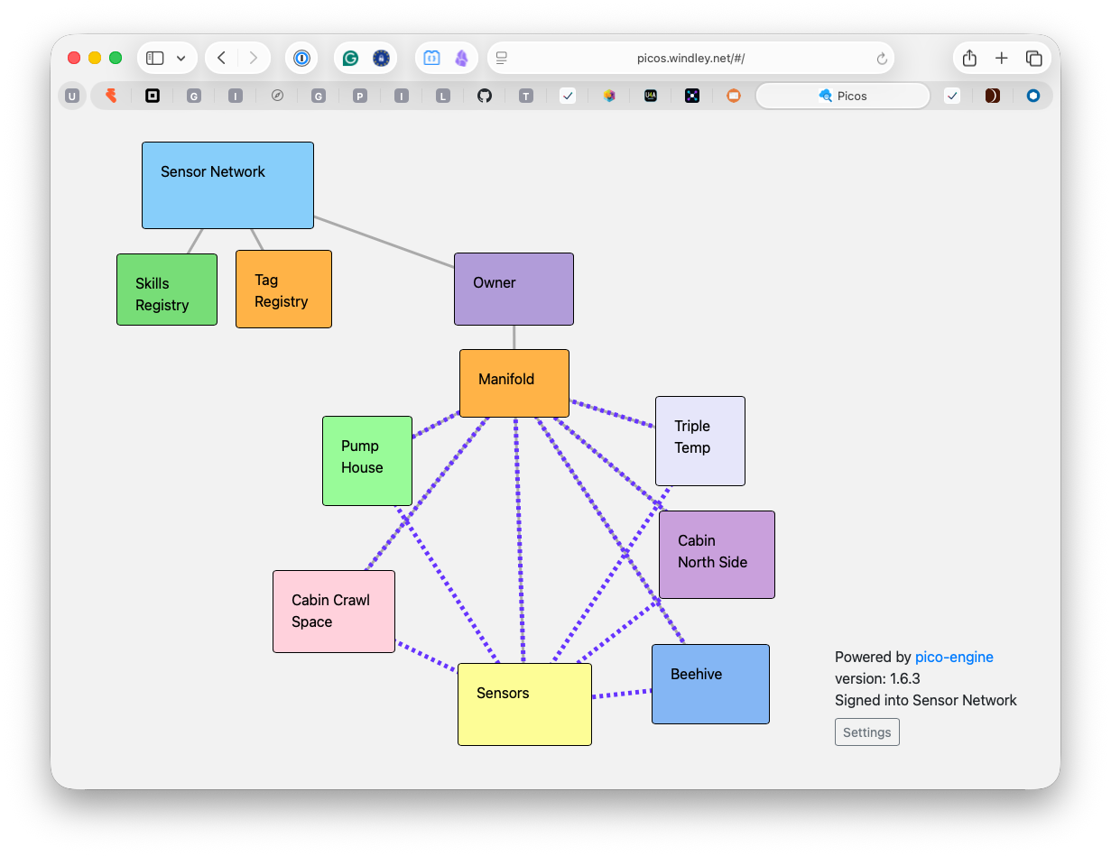 The sensor network as a pico mesh