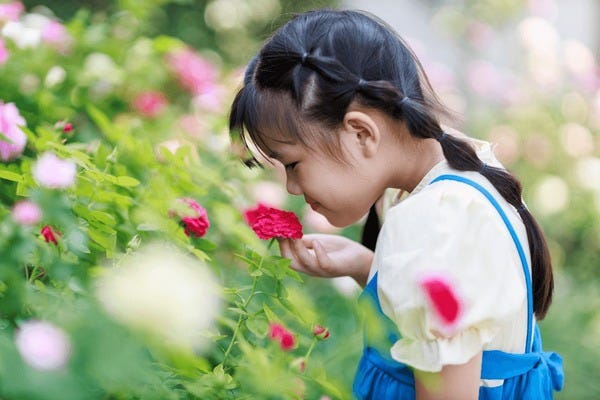 5+ Hundred Children Smelling Roses Royalty-Free Images, Stock Photos & Pictures | Shutterstock 5+ Hundred Children Smelling Roses Royalty-Free Images, Stock Photos & Pictures | Shutterstock