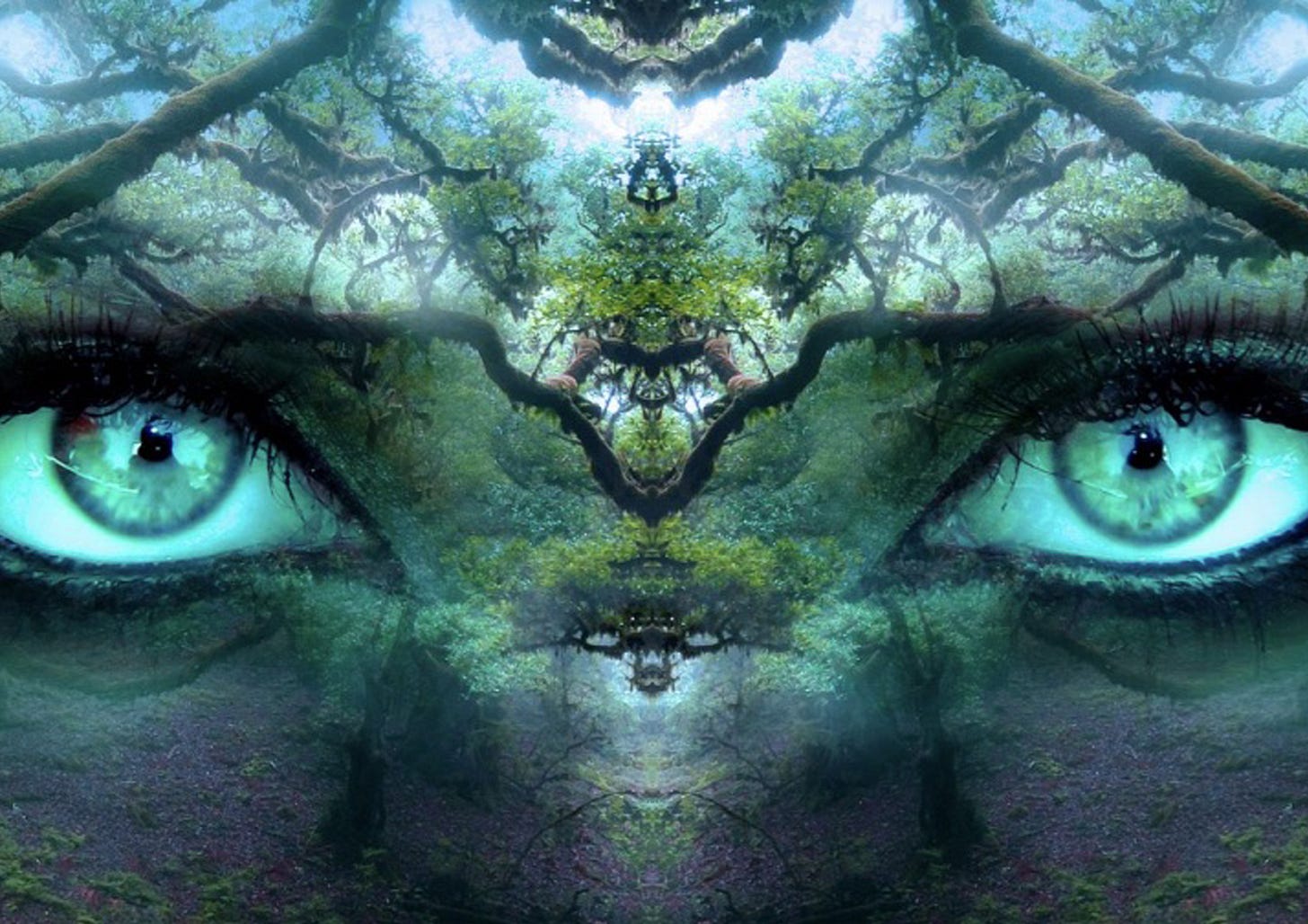 Art of Perception - Shamanic Education