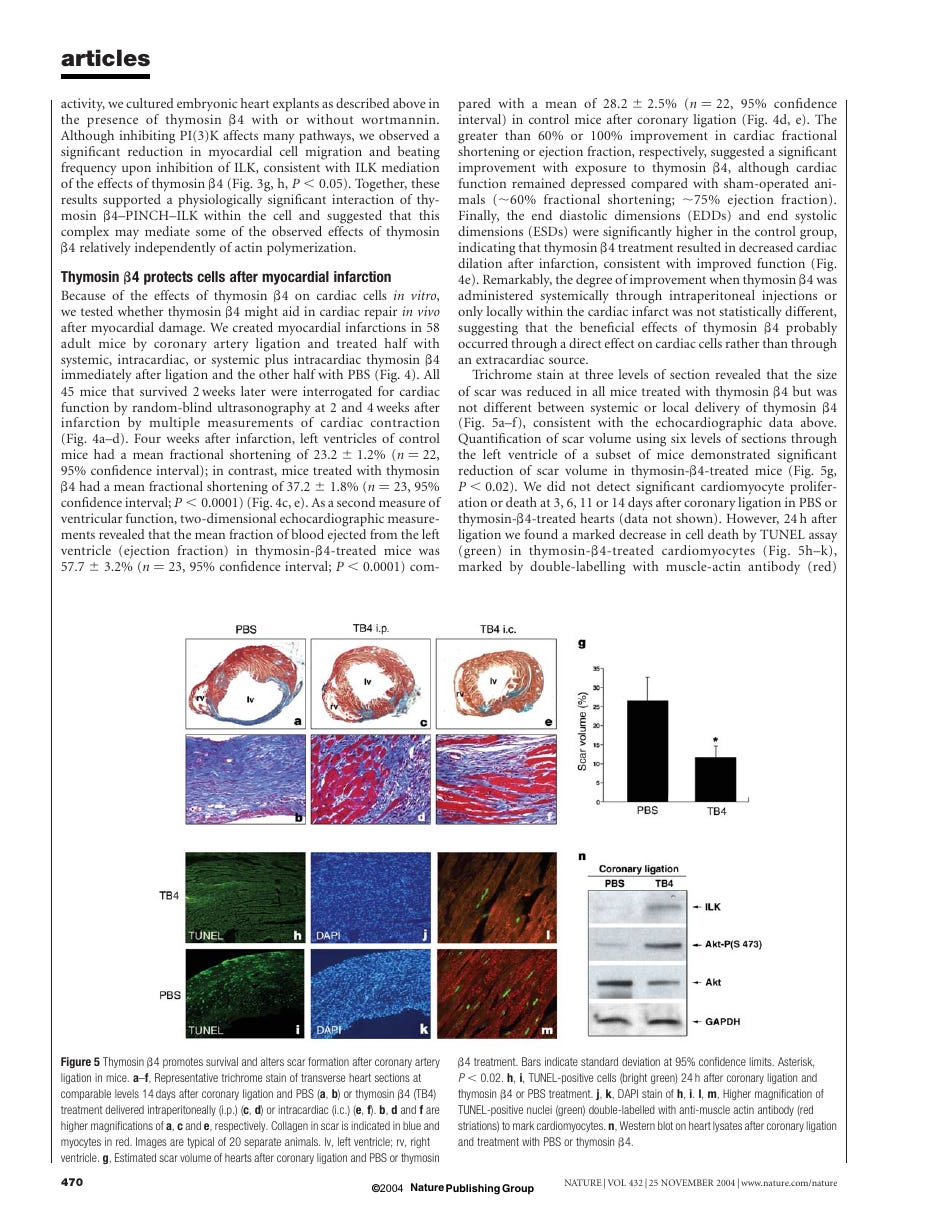 Figure: Tβ4 reduces scar formation after coronary artery ligation in mice Figure: Tβ4 reduces scar formation after coronary artery ligation in mice