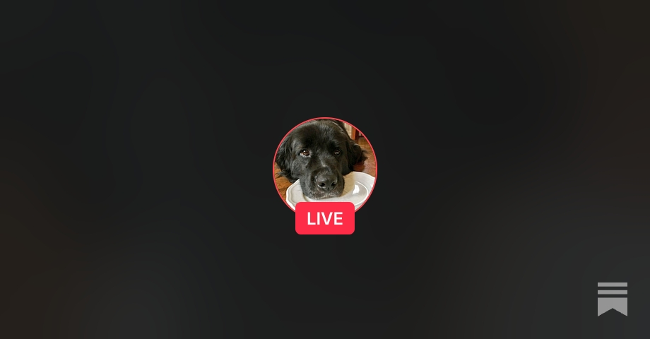 LIVE NOW: Live with Marissa Rothkopf