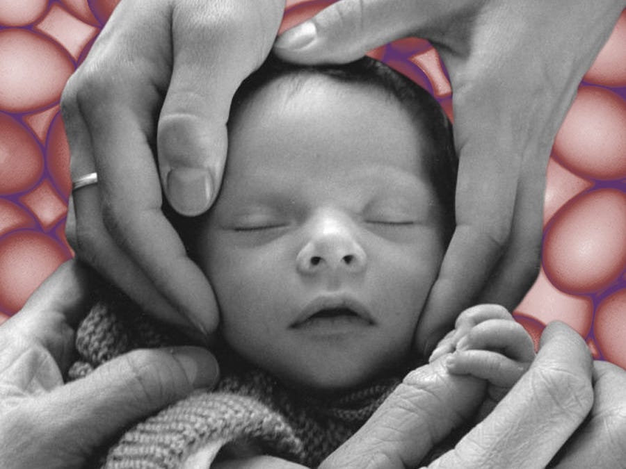 Made Eggs Be the Future of Fertility?