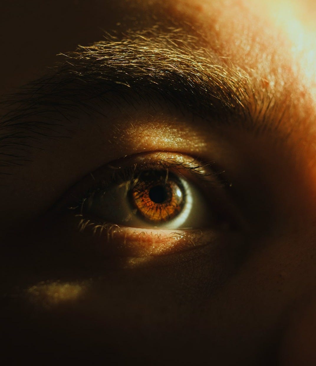 A close up of a person's eye with the sun shining on them A close up of a person's eye with the sun shining on them