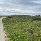 The 6 Phases of Immigration