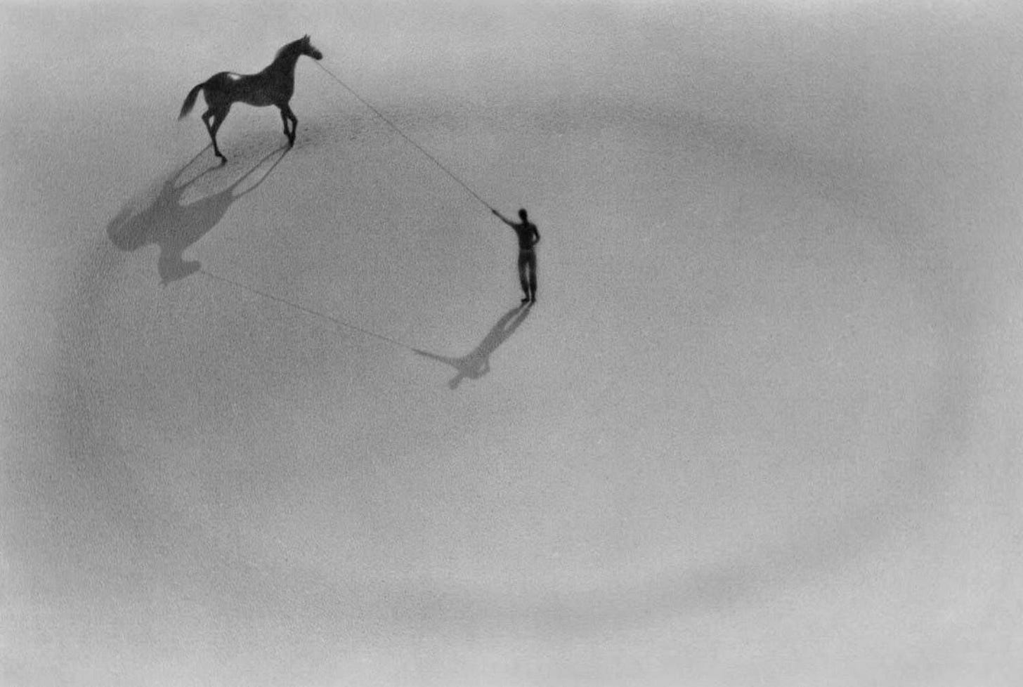 Hypomnemata, Escaping Flatland Hypomnemata, Escaping Flatland
