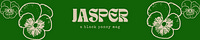 JASPER, a black pansy mag