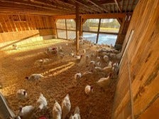 Farm photos