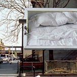 Scarlet Ibis James Writes