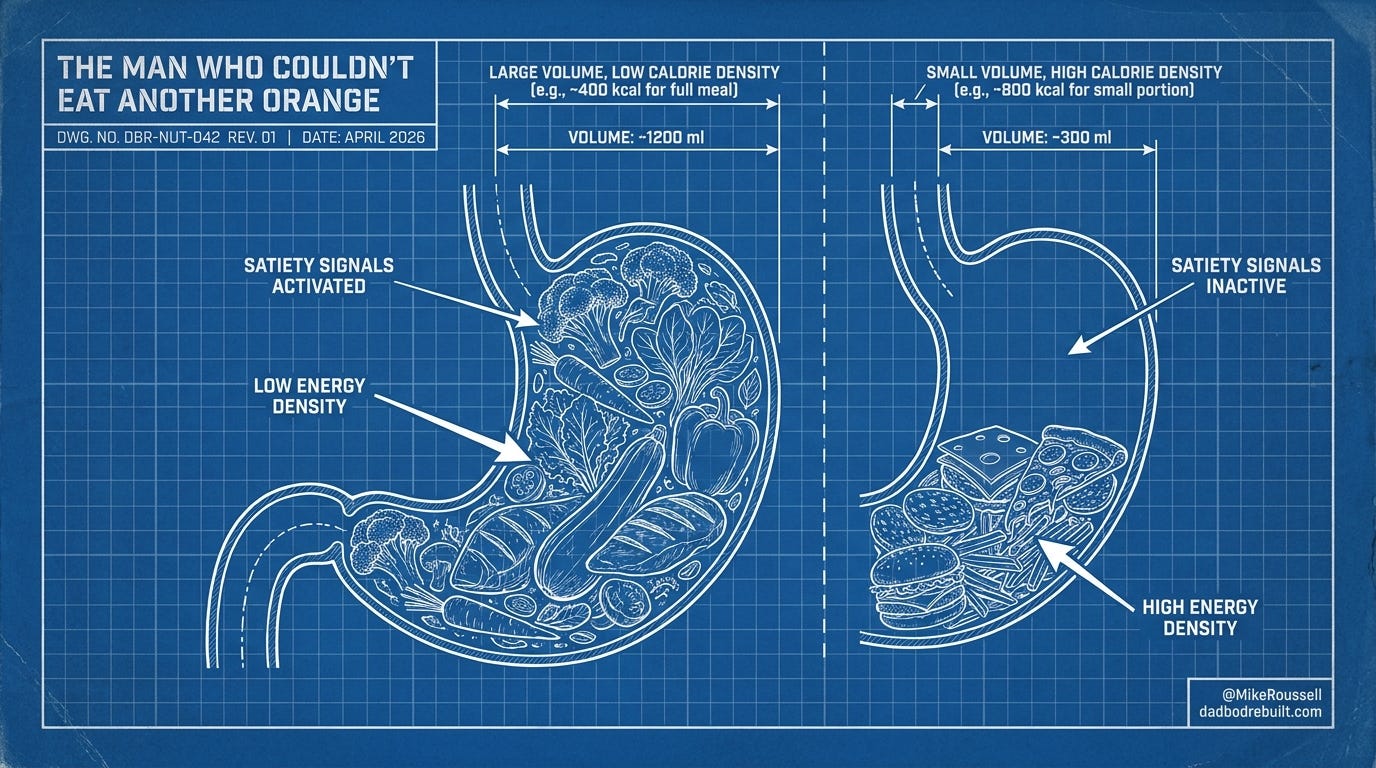 Technical blueprint illustration deep blueprint b