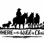 Where in the Wild is Chris?