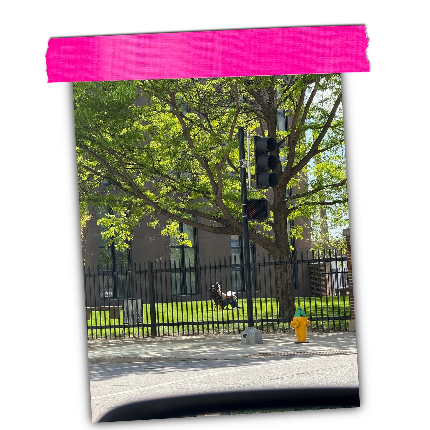 Lisette sits alone in a grass filled courtyard surrounded by black metal fencing