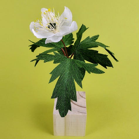 Wood Anemone, Bluebell and Buttercup flowers made from The Paper Wildflower Craftkits. Pictur3s of the three flowers against a lime green background.