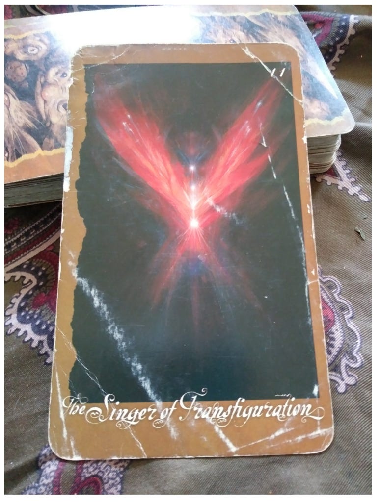 A Message from the Universe - The Singer of Transfiguration