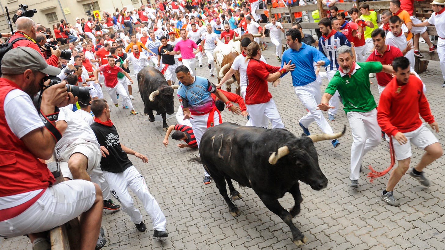 The Running of the Bulls in Pamplona, Spain The Running of the Bulls in Pamplona, Spain