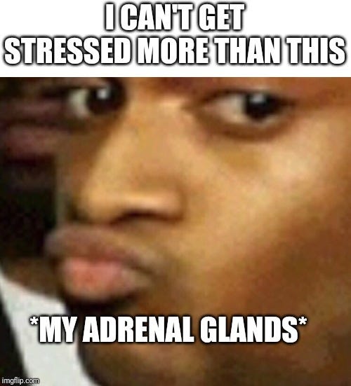 Fight or flight 24/7 - Science Memes Fight or flight 24/7 - Science Memes