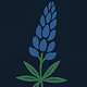Bluebonnet Sports Journal