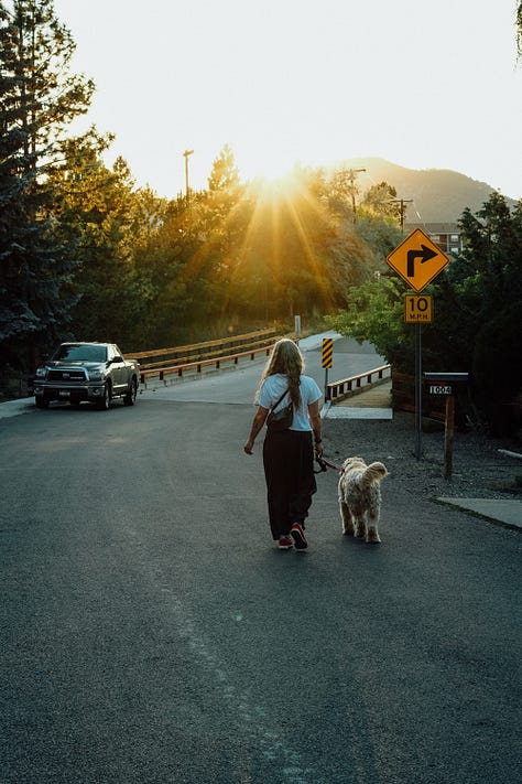 Fuji photographs of life by Tyler Knott Gregson