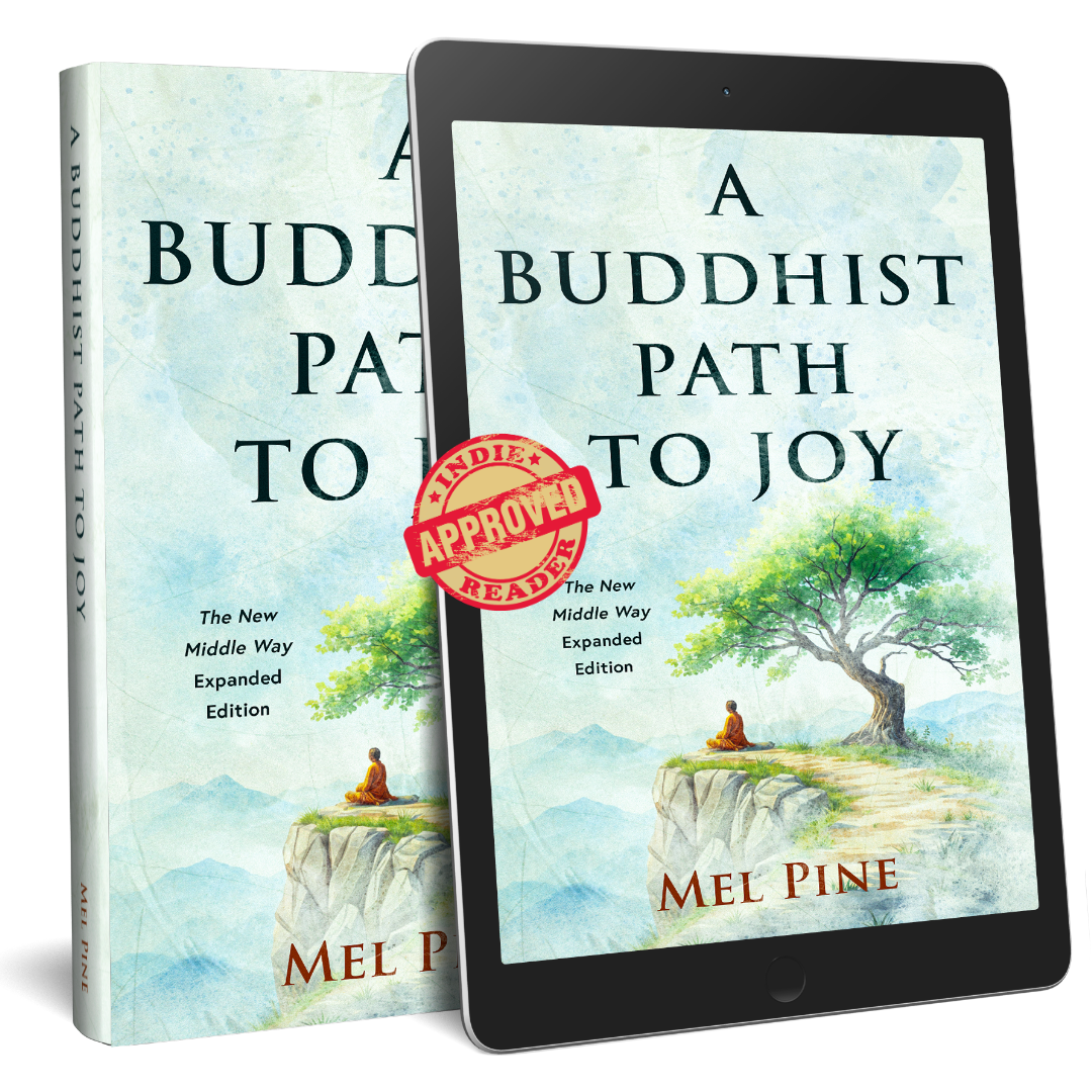 Covers of book with IndieReader Approved seal