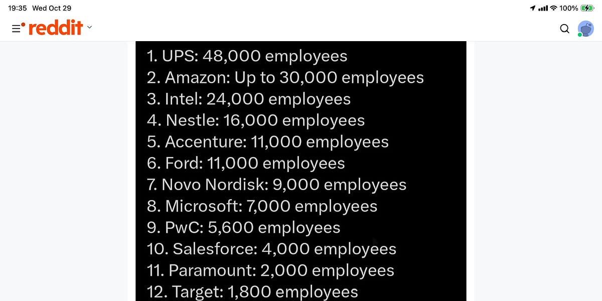 Are the Massive Layoffs Targeting H1B Visa Holders?