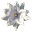kadmii's avatar