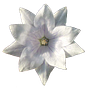 kadmii's avatar
