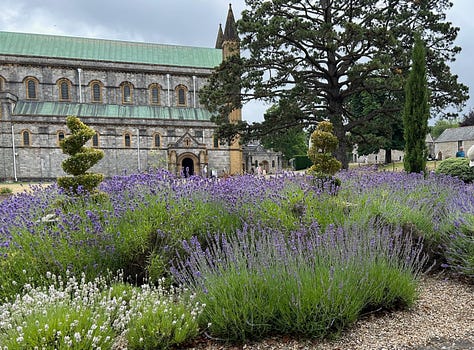 Stately trees and lavender shrubs at Buckfast Abbey