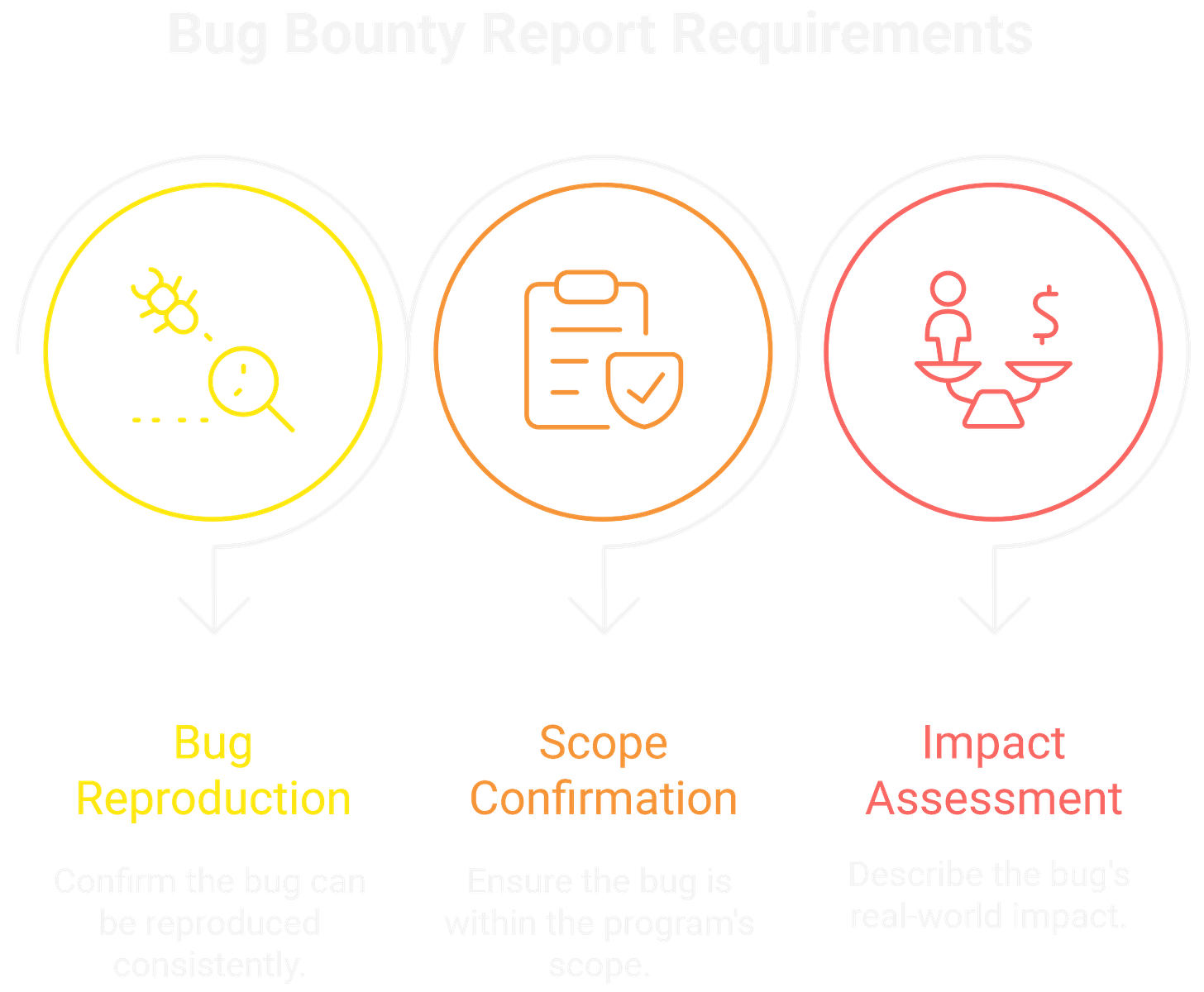 Bug Bounty Payment