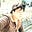 Rohit Bhardwaj's avatar