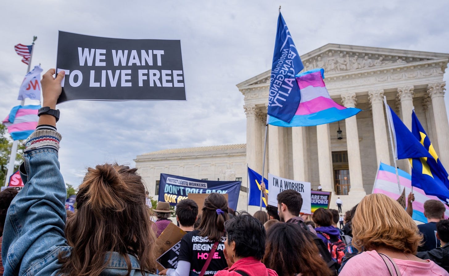 Participant holding a sign outsithe the Supreme Court. 133...