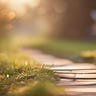 Notes from the Path