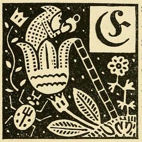 Native Wisdom. Frontiers Friday #205 ⭕️