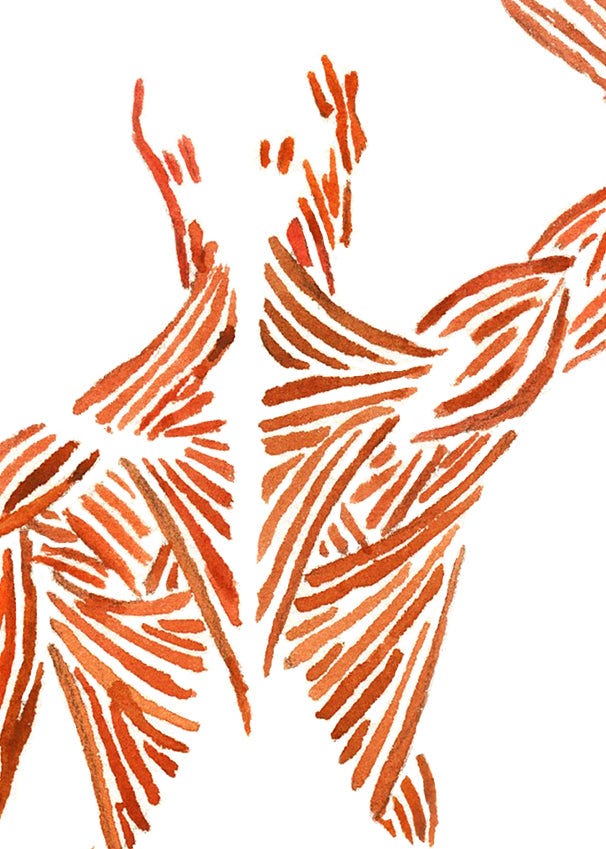 Muscular System Watercolor Print – Lyon Road Art